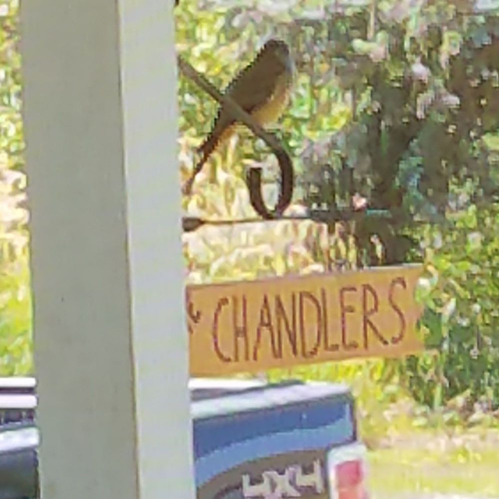 Meet your Posher, Nichole